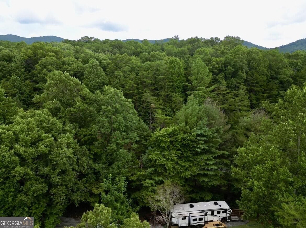10042 Doublehead Gap Road Blue Ridge - Photo 35