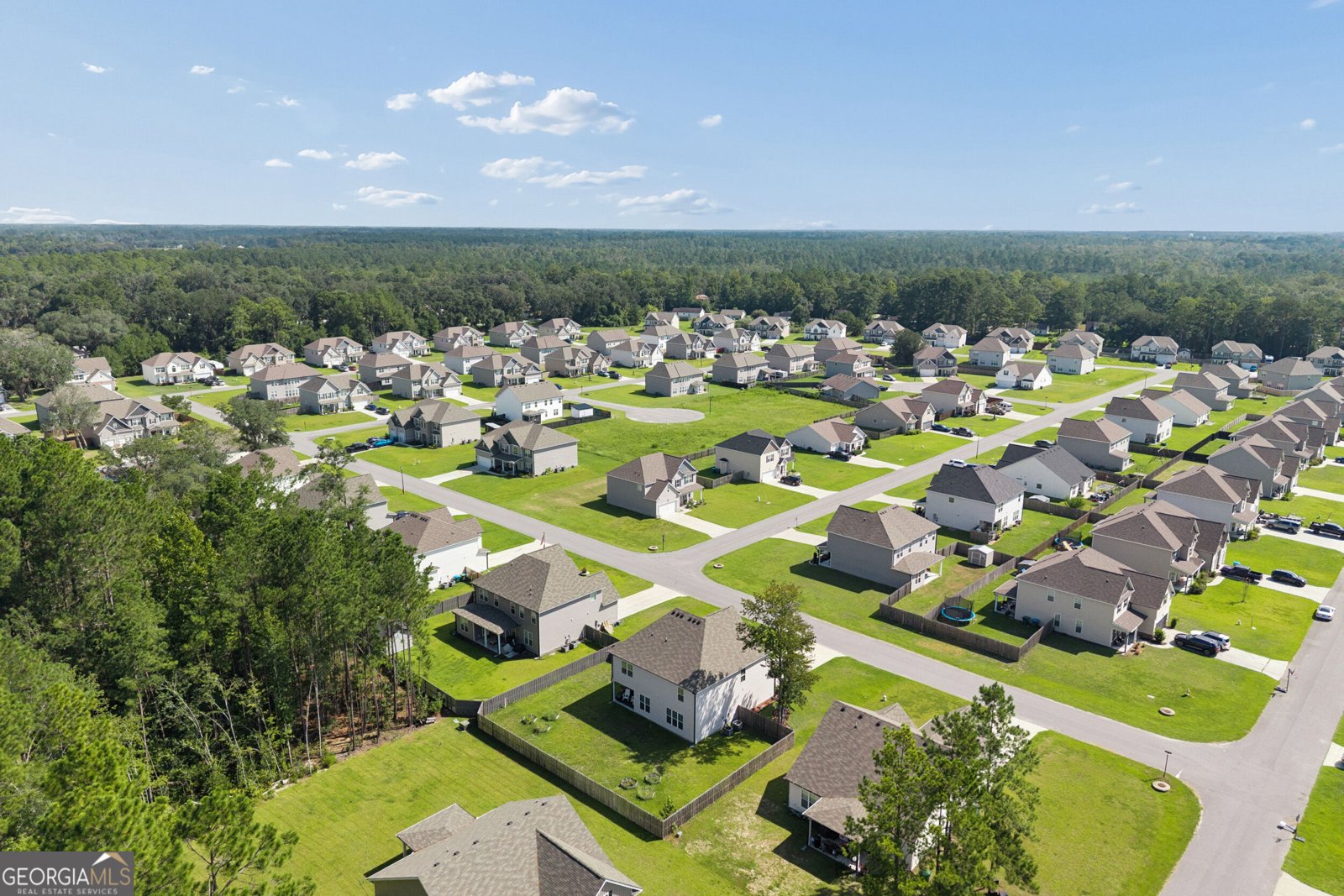 10 High Meadow Crossing Guyton - Photo 37