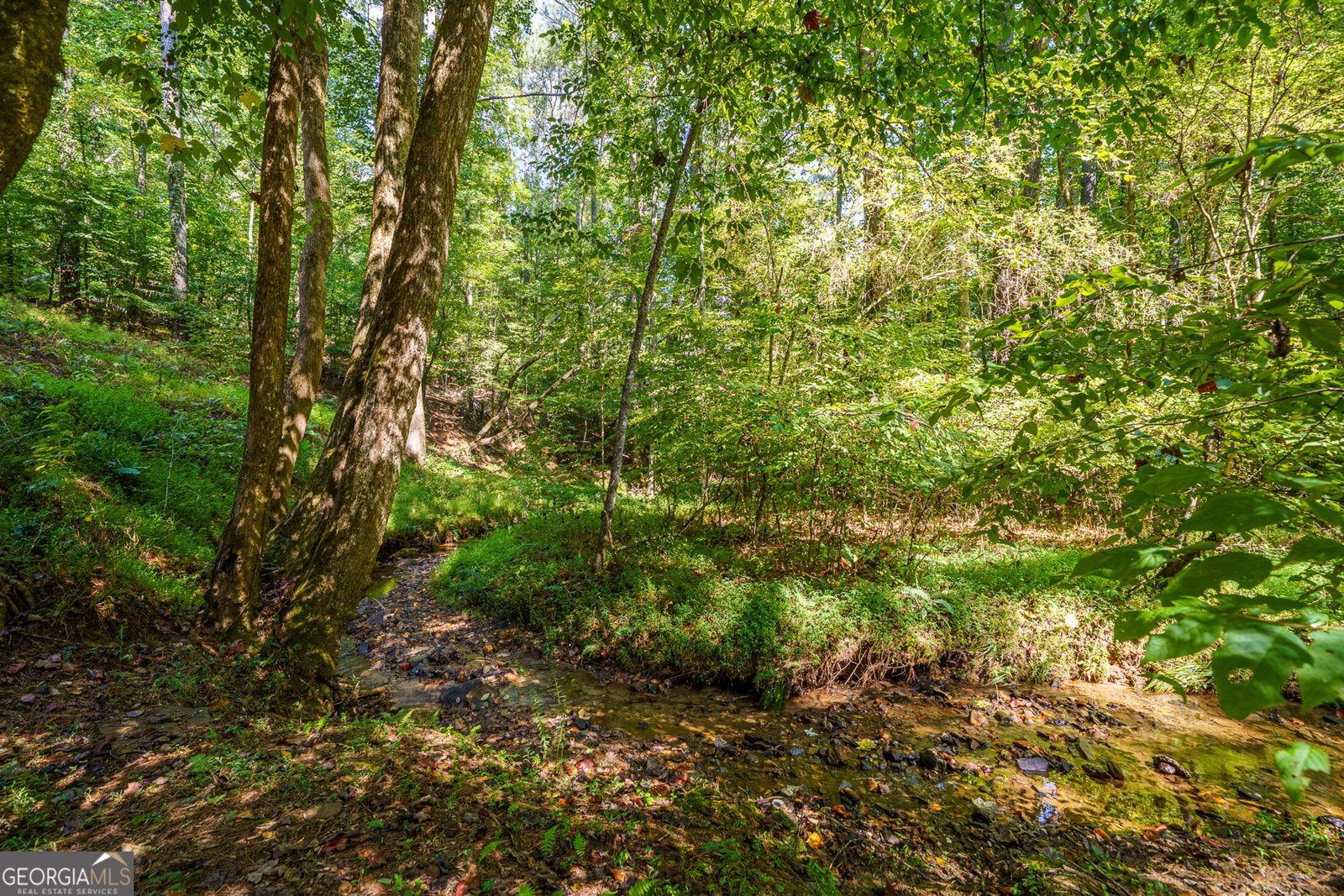 681 Catawba Circle Ellijay - Photo 62