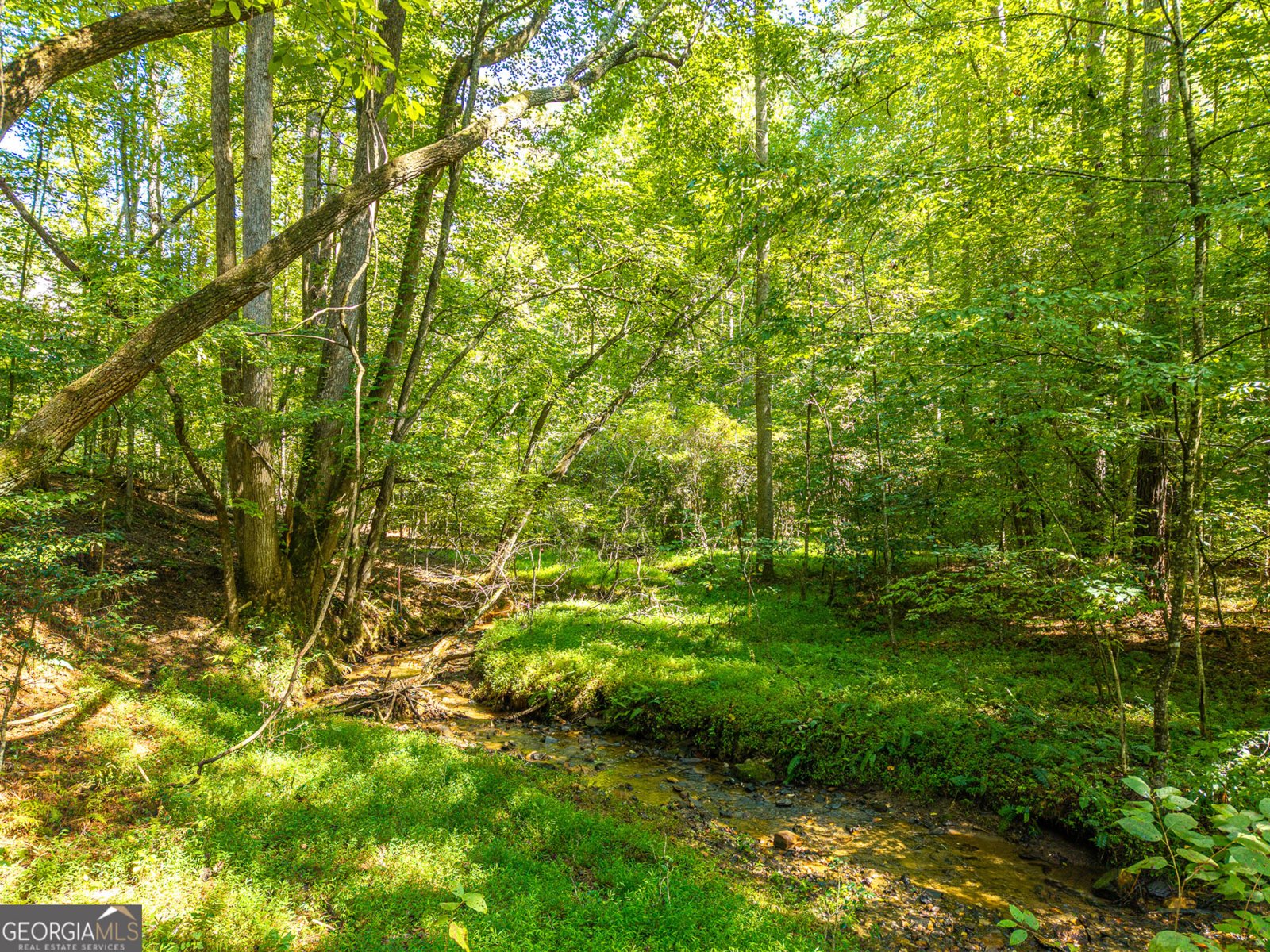 681 Catawba Circle Ellijay - Photo 63