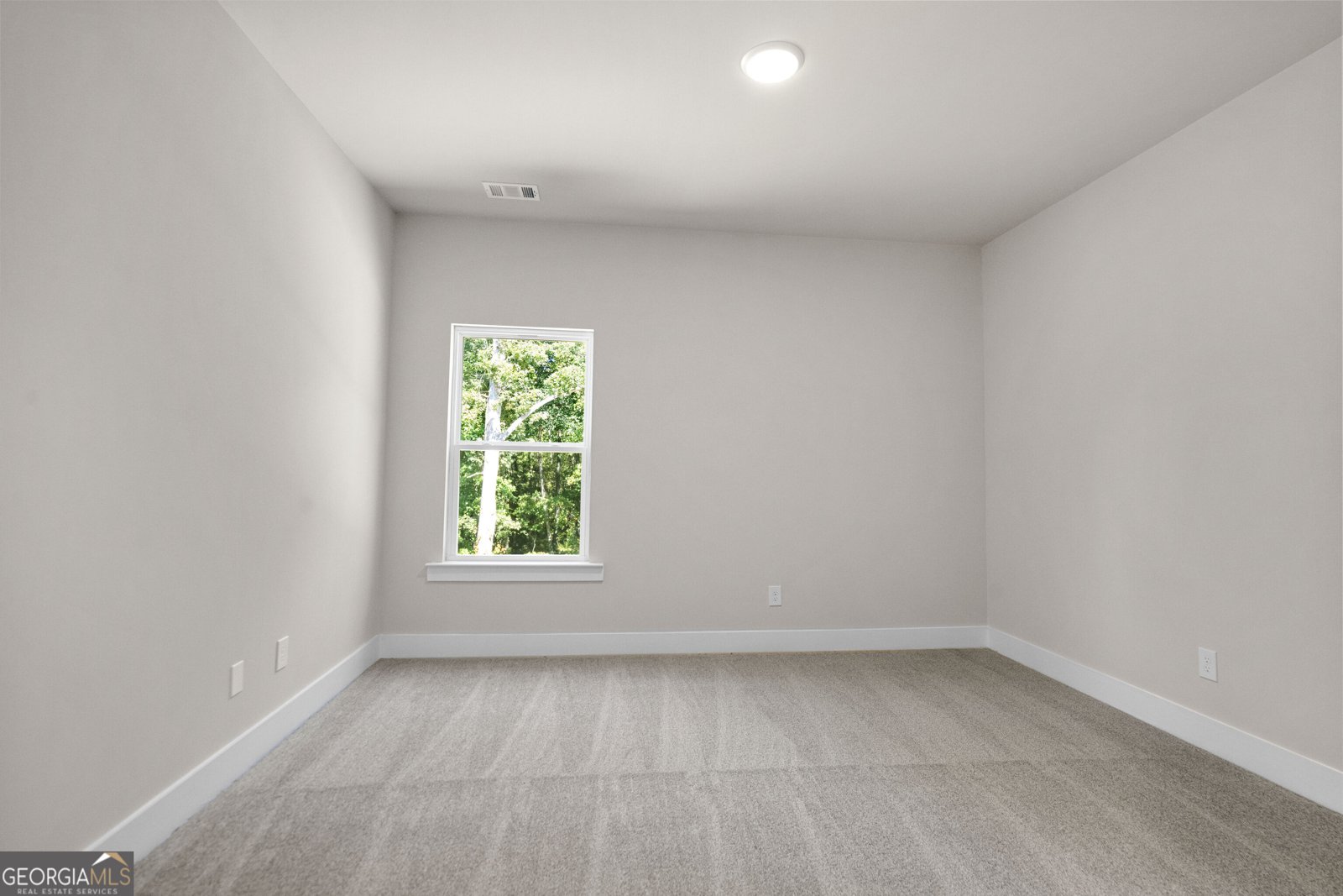 165 Dawson Creek Lane Locust Grove - Photo 22