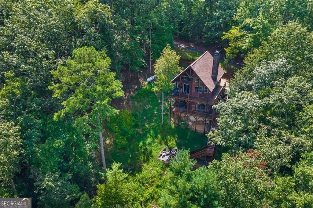 73 Rosiey Lane Blue Ridge - Photo 10