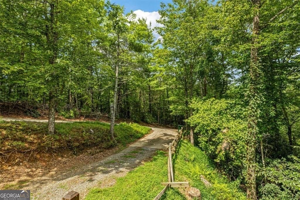 73 Rosiey Lane Blue Ridge - Photo 12