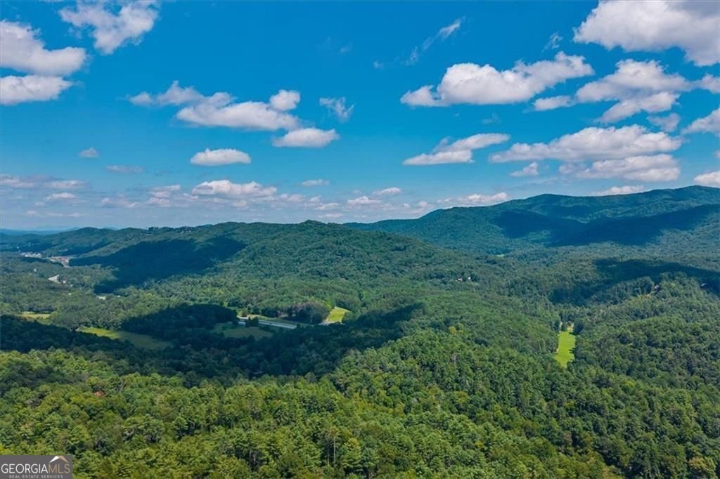 73 Rosiey Lane Blue Ridge - Photo 6