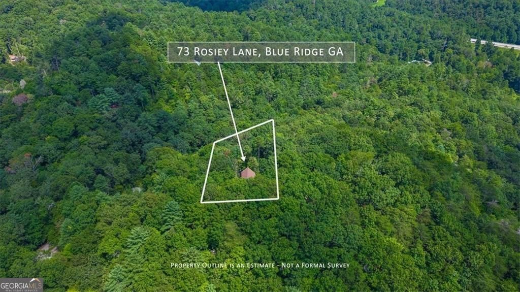 73 Rosiey Lane Blue Ridge - Photo 7