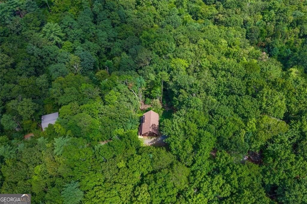 73 Rosiey Lane Blue Ridge - Photo 8