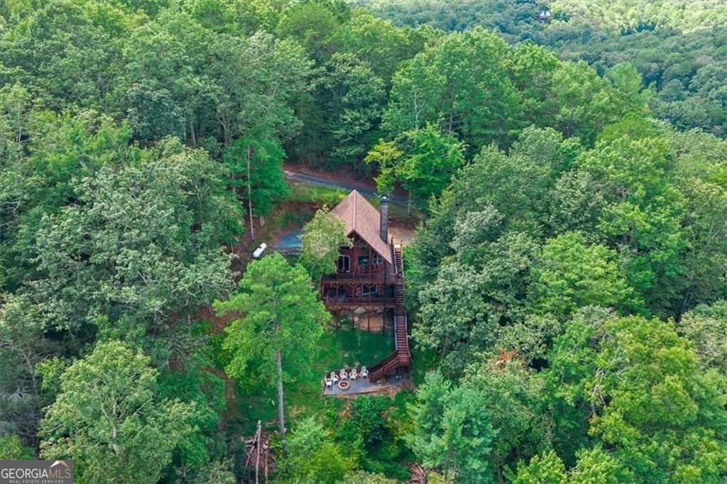 73 Rosiey Lane Blue Ridge - Photo 9