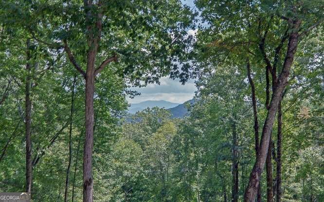 581 Ivy Knob Lane Hayesville - Photo 28