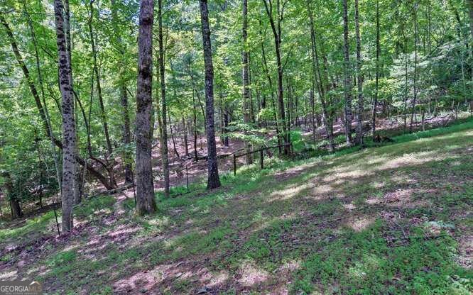 581 Ivy Knob Lane Hayesville - Photo 49