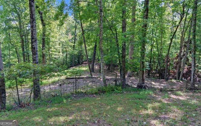 581 Ivy Knob Lane Hayesville - Photo 51