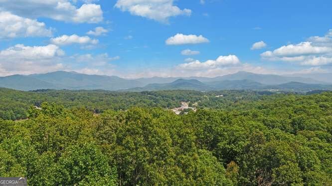 581 Ivy Knob Lane Hayesville - Photo 55