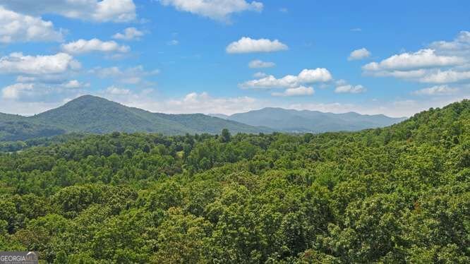 581 Ivy Knob Lane Hayesville - Photo 57