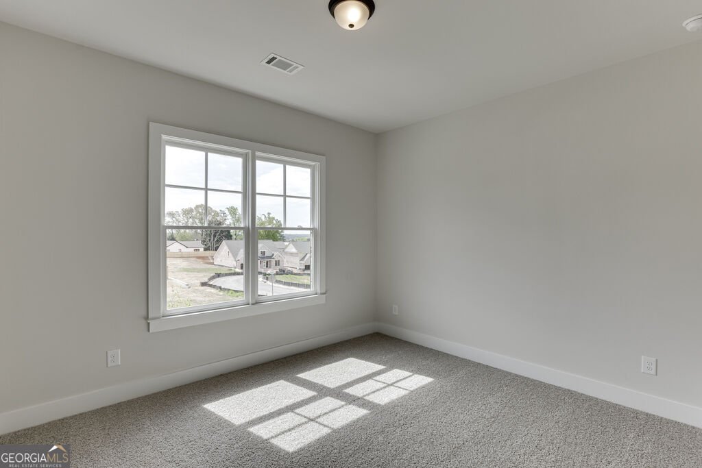 245 Smokey Road Buford - Photo 31