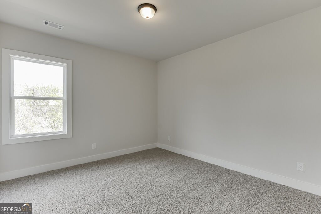 245 Smokey Road Buford - Photo 34