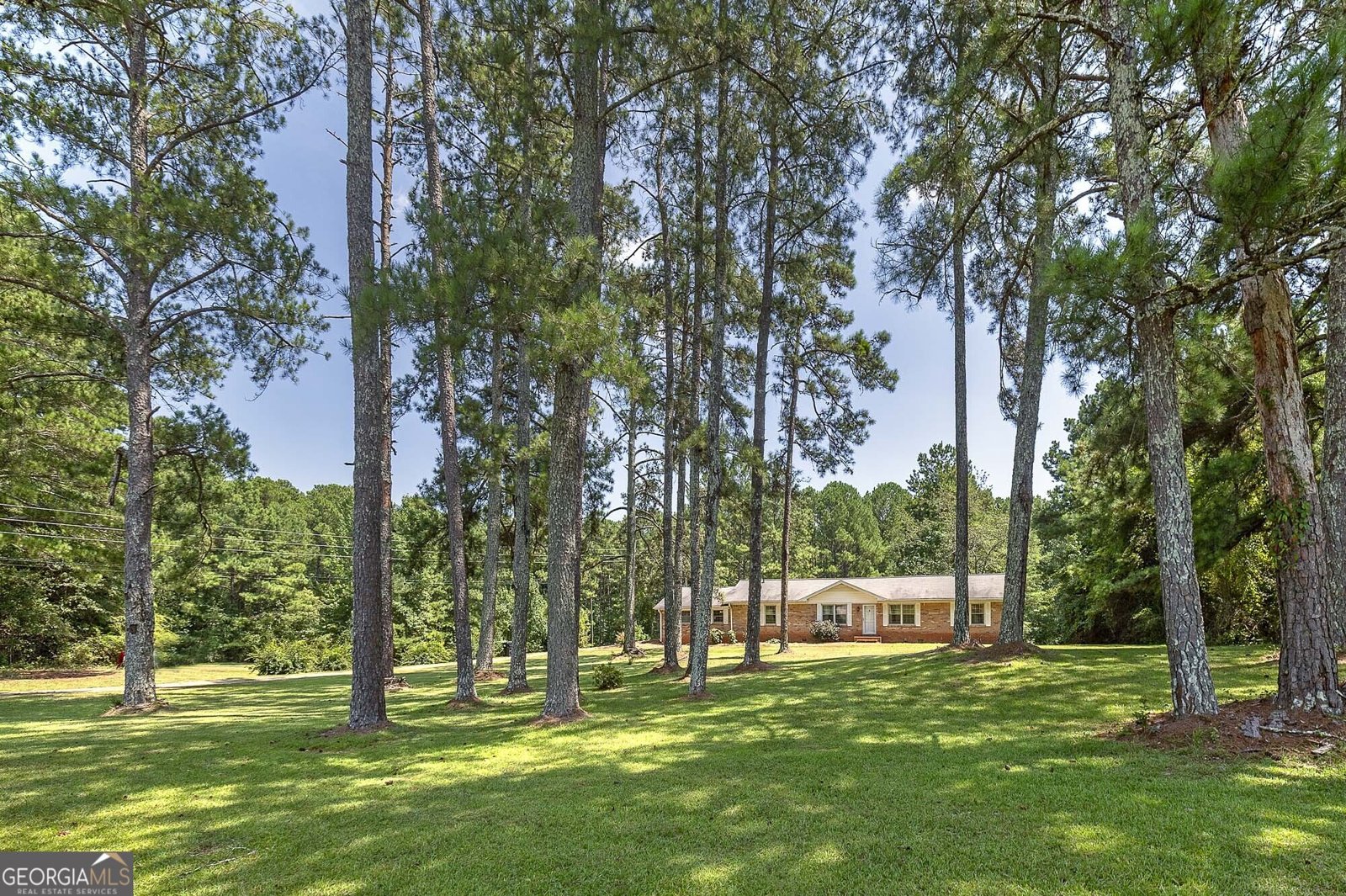2450 McGarity Road McDonough - Photo 32