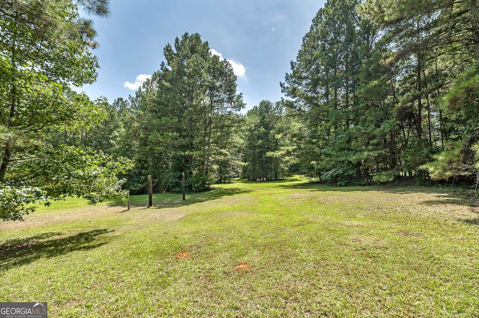 2450 McGarity Road McDonough - Photo 34