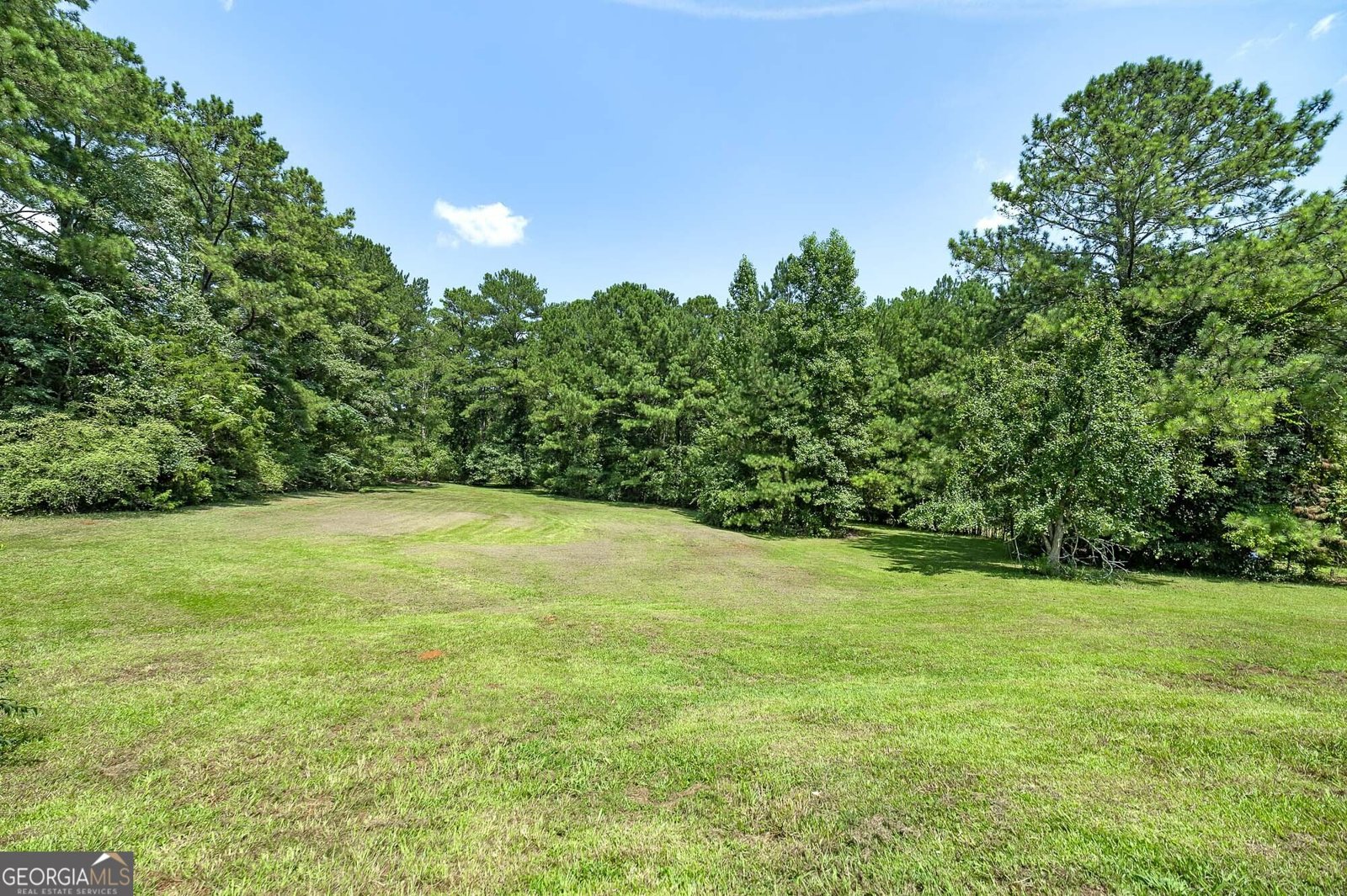 2450 McGarity Road McDonough - Photo 35