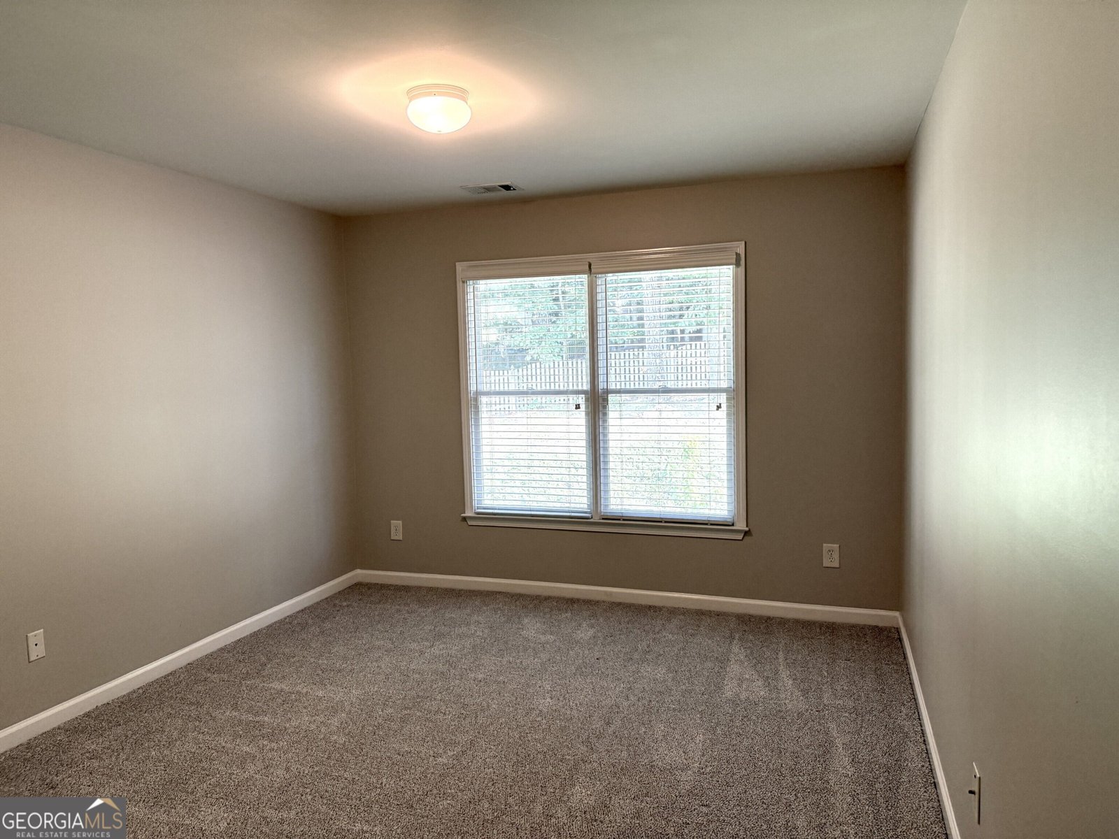 3430 Vista Creek Drive Dacula - Photo 27