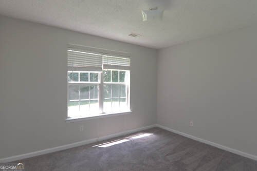 1094 Sugarcreek Way Riverdale - Photo 27