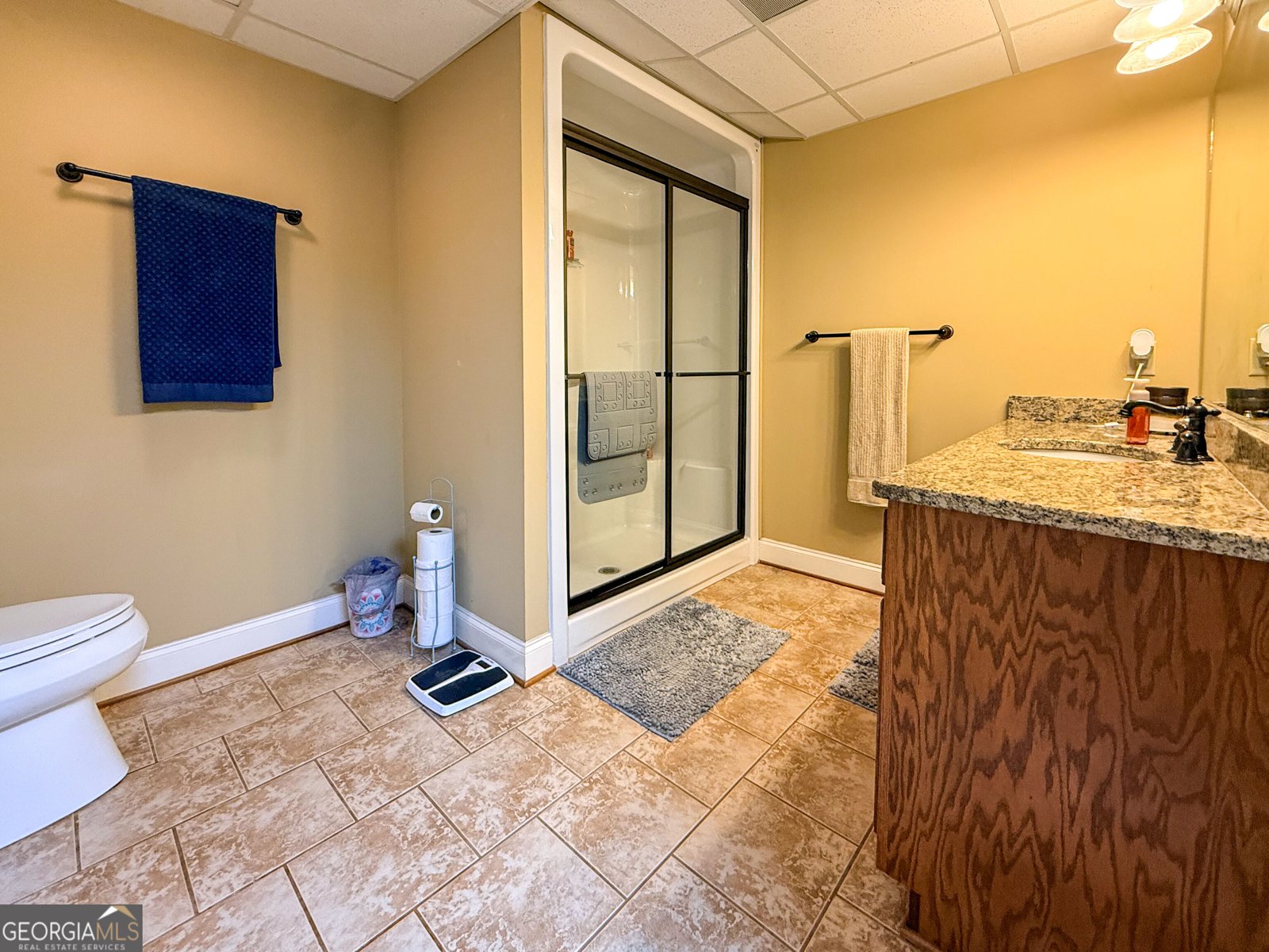 351 Shoals Lane Clarkesville - Photo 57
