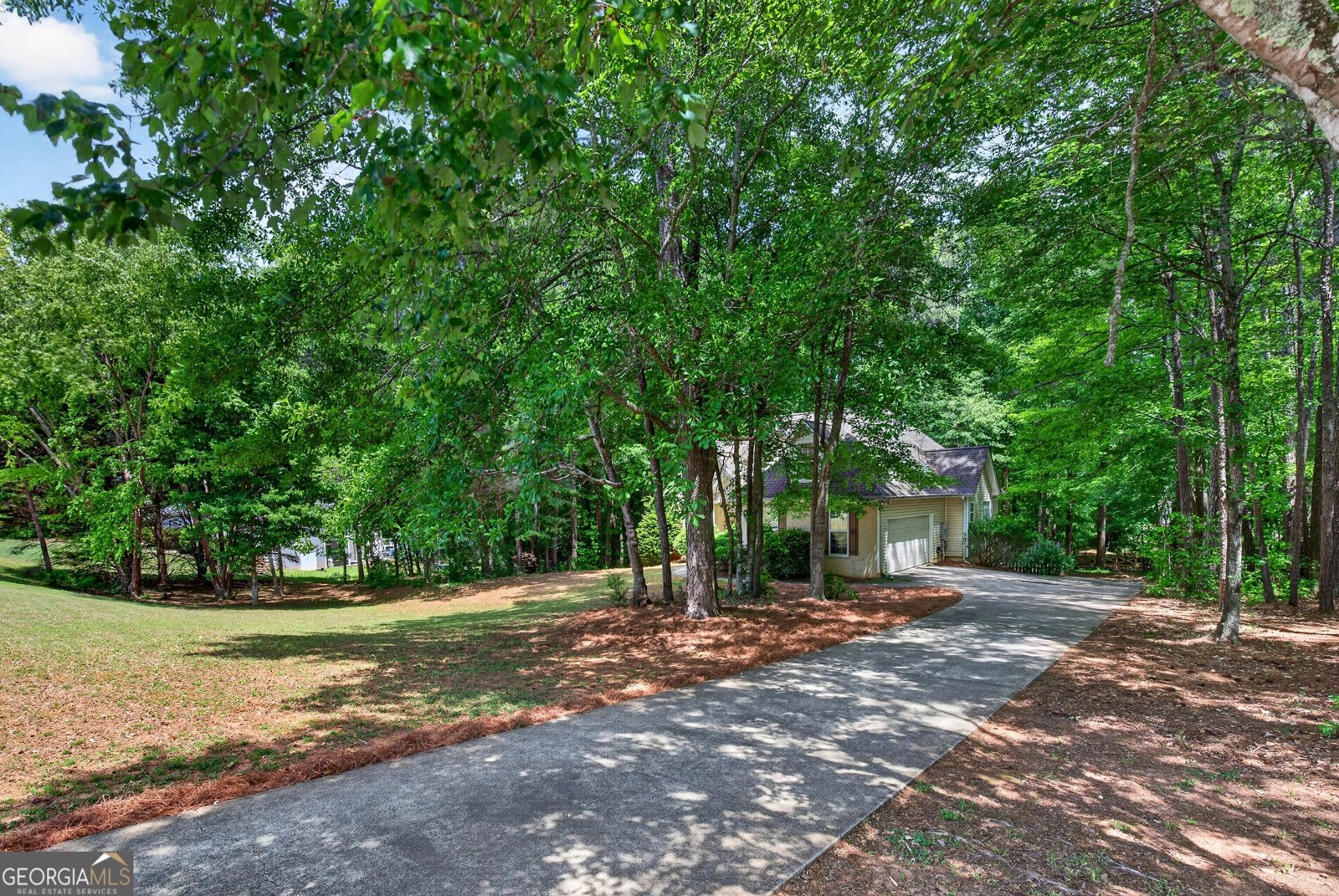 101 Line Creek Way Sharpsburg - Photo 40