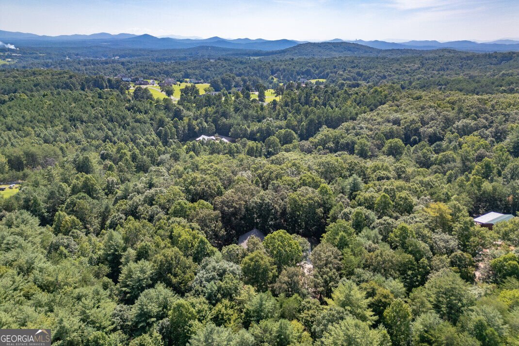 43 Baisto Lane Blairsville - Photo 25