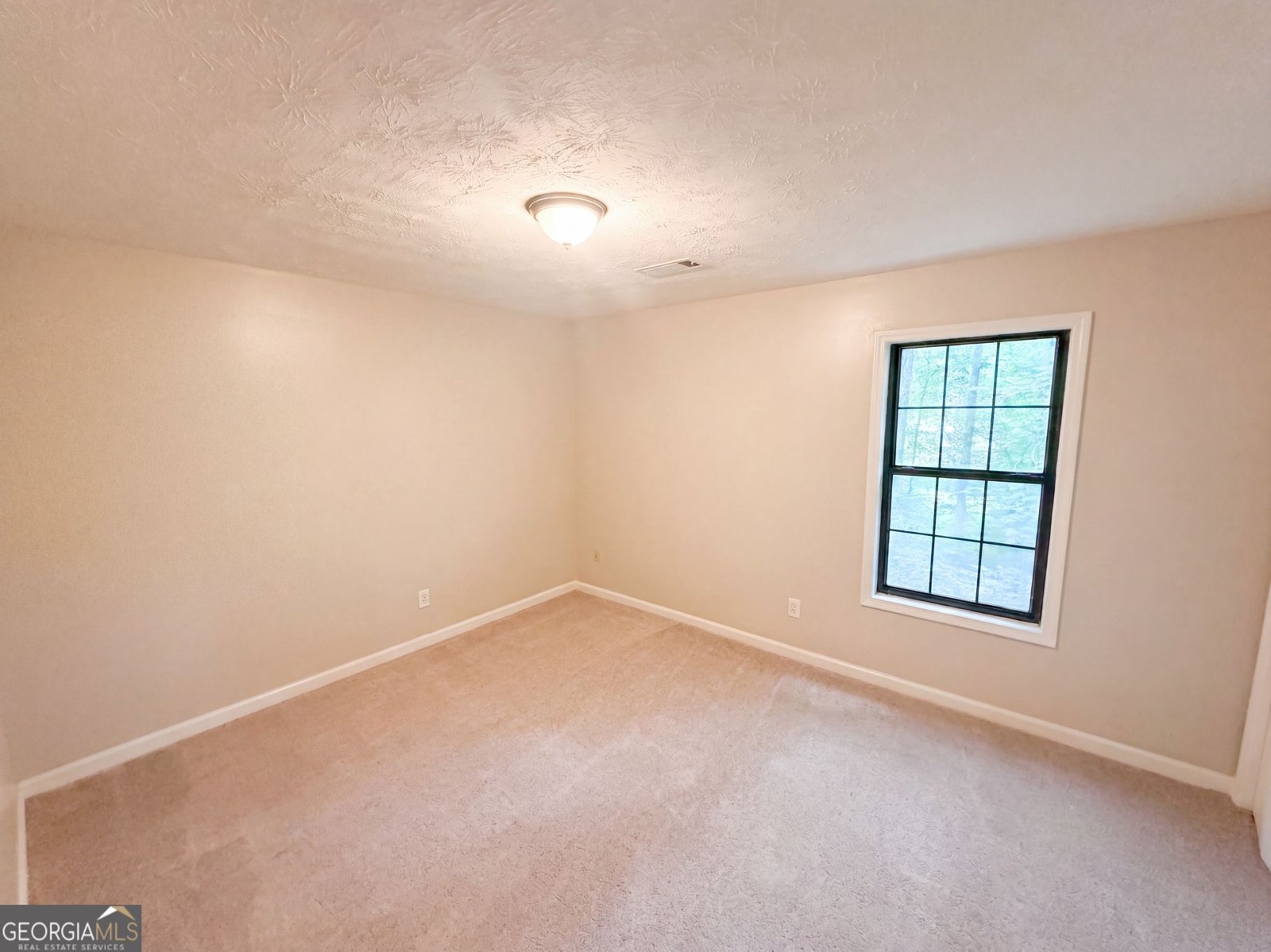 4628 Sapling Court Douglasville - Photo 10