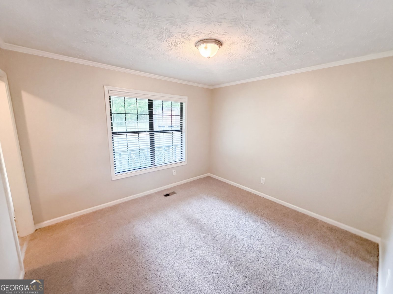 4628 Sapling Court Douglasville - Photo 12