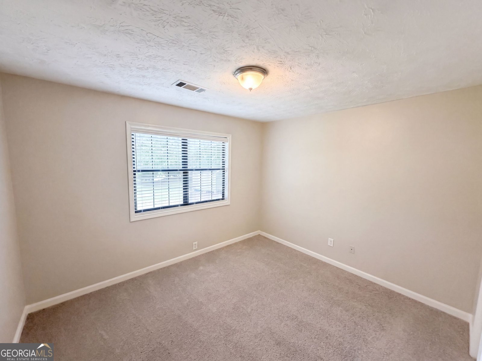 4628 Sapling Court Douglasville - Photo 9