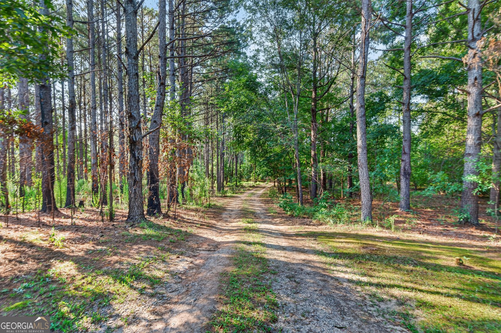 440 Smith Road Haddock - Photo 22