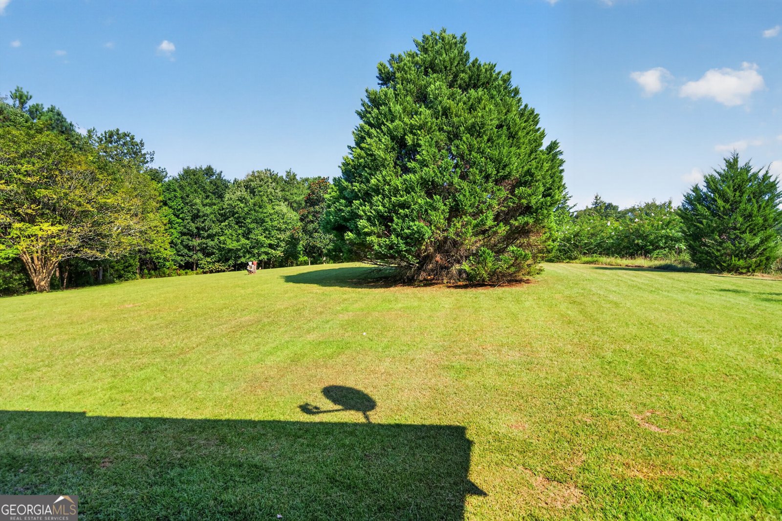 440 Smith Road Haddock - Photo 37