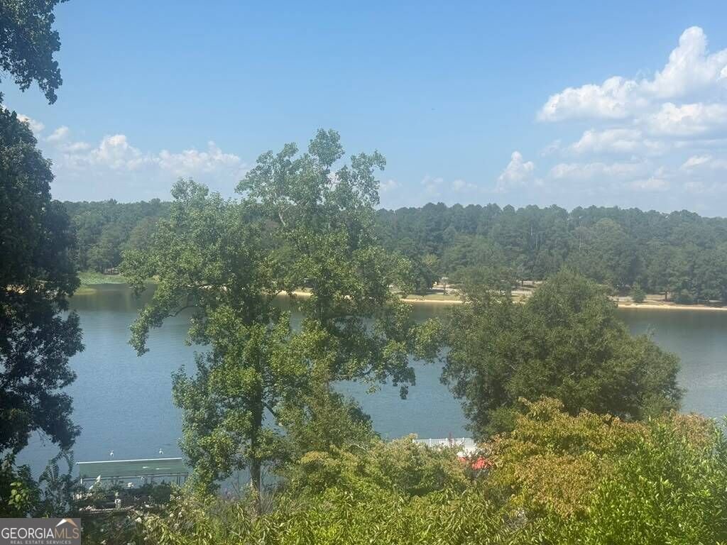 263 Cove Drive Abbeville - Photo 18