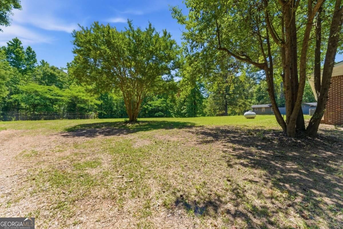 3282 Old Snapping Shoals Road Mcdonough - Photo 21