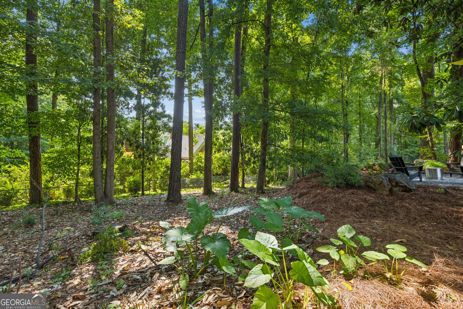 4091 Peachtree Dunwoody Road Atlanta - Photo 53
