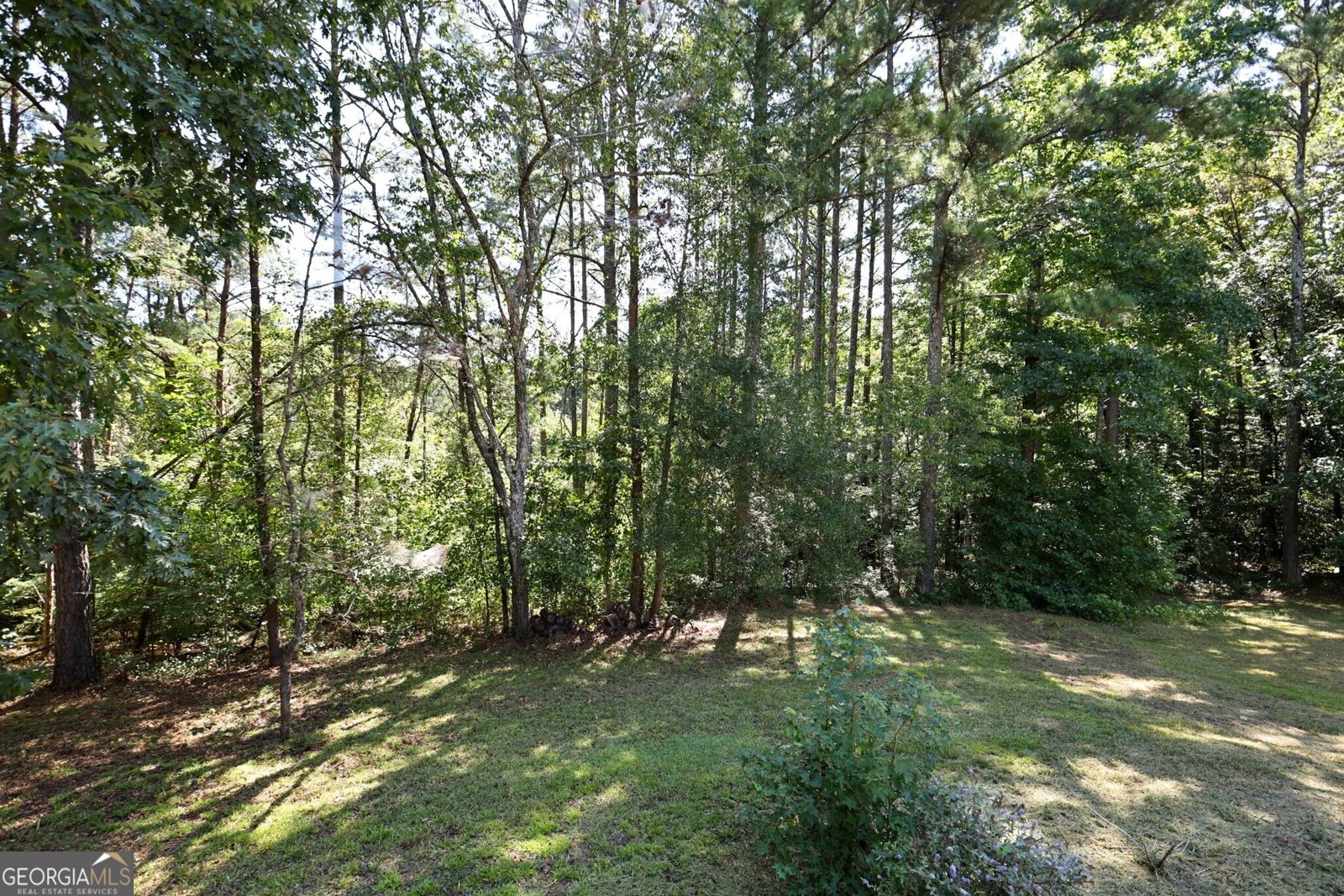 2186 Ewing Chapel Road Dacula - Photo 39