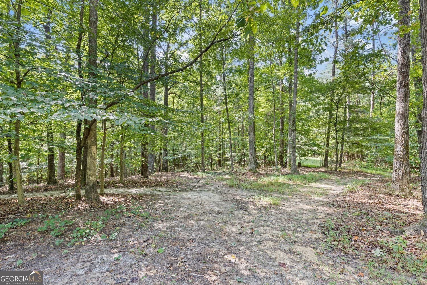 681 Pumpkinvine Road Acworth - Photo 44