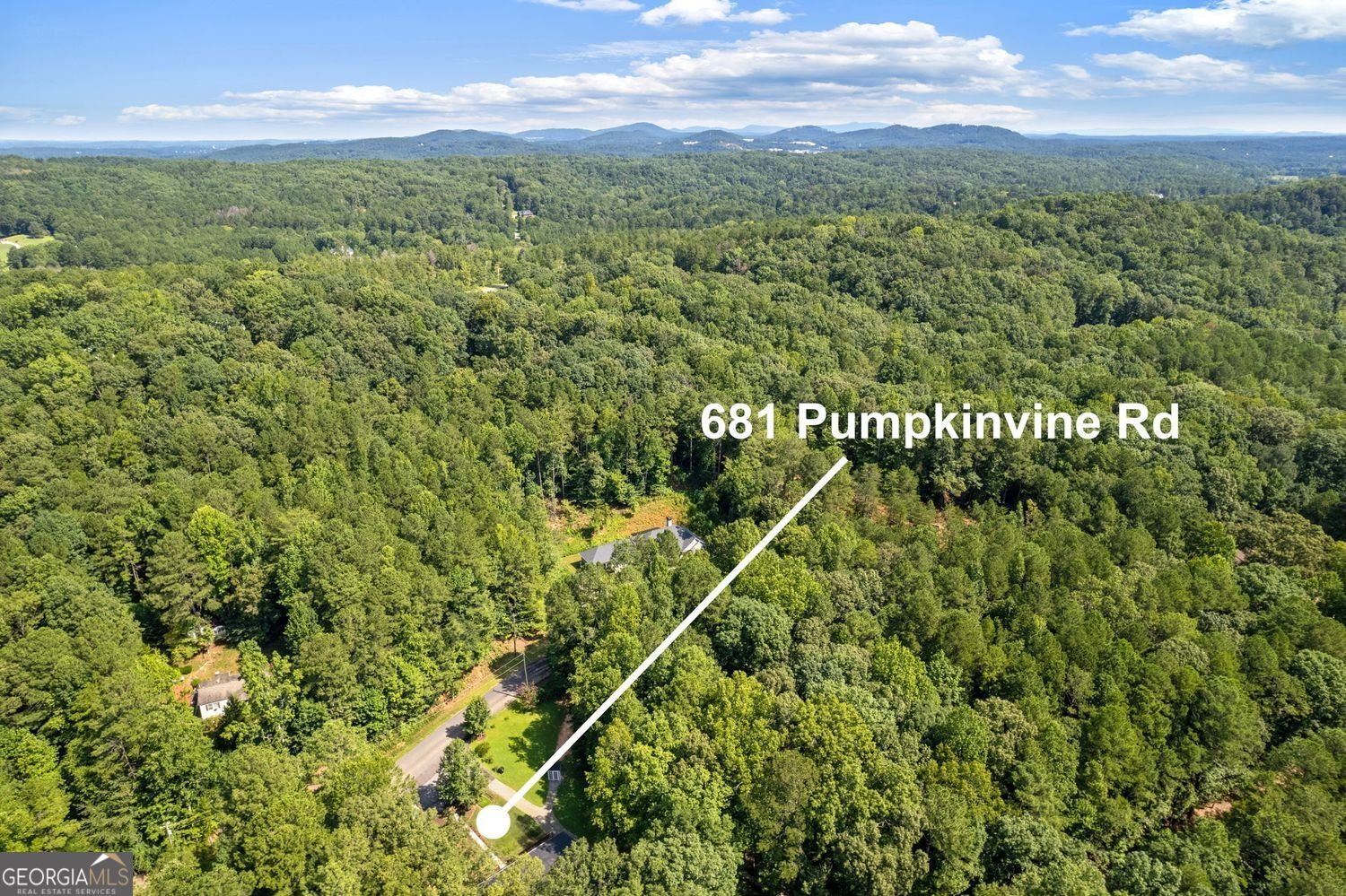 681 Pumpkinvine Road Acworth - Photo 51