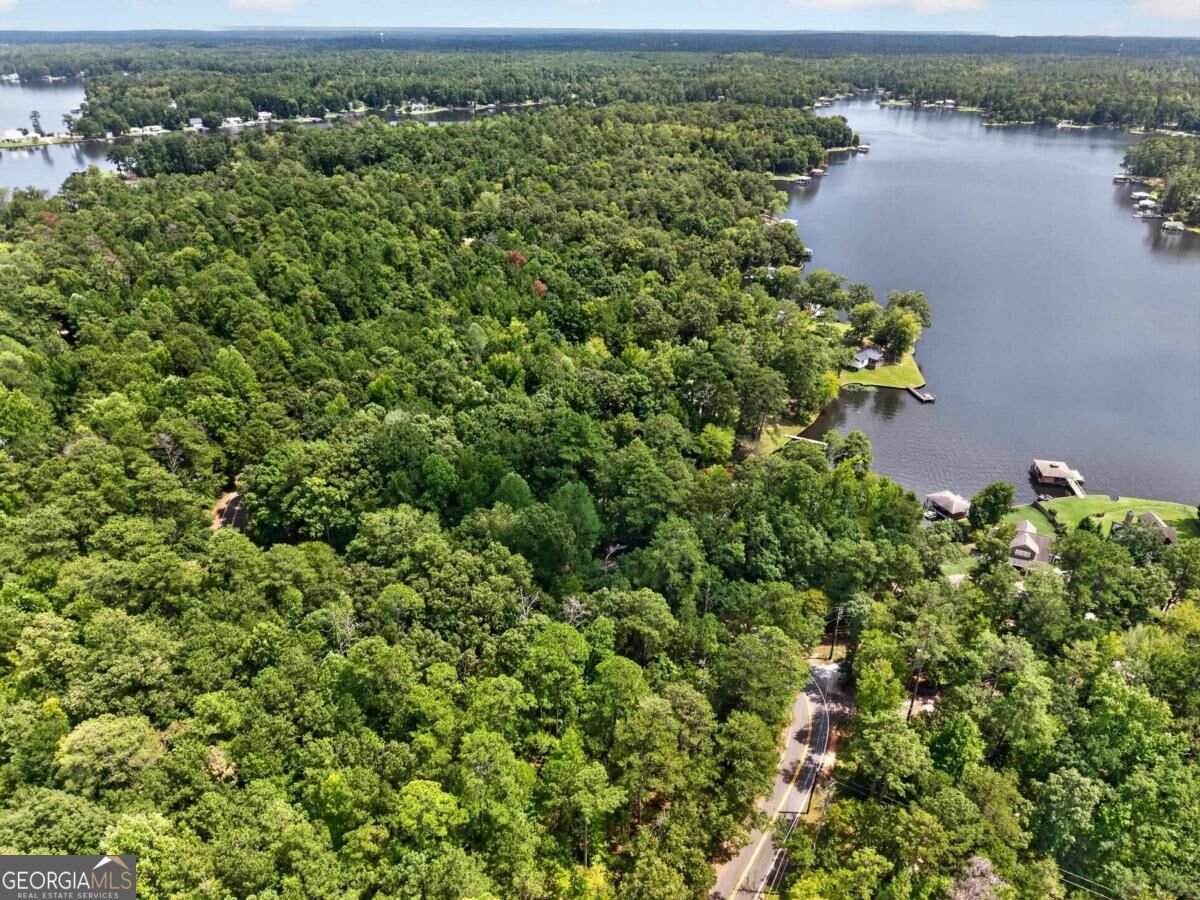 966 Dennis Station Road Eatonton - Photo 58