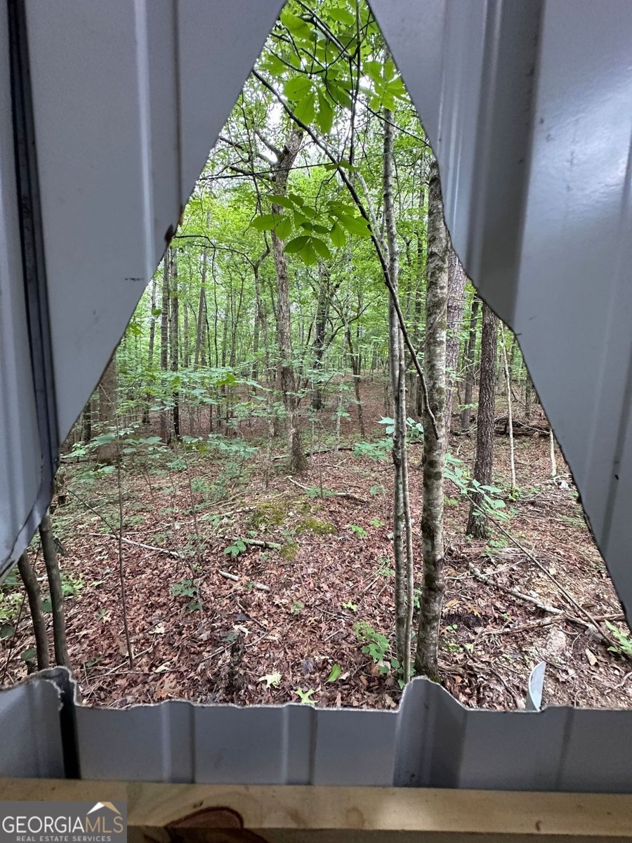 61 Stone Crest Court Rockmart - Photo 59