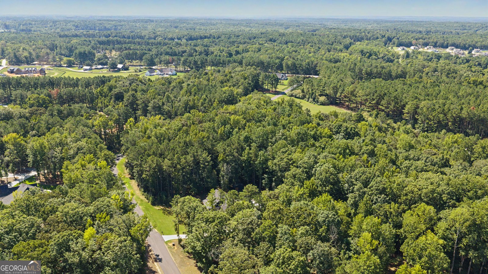 180 Lawshe Farm Drive Senoia - Photo 71