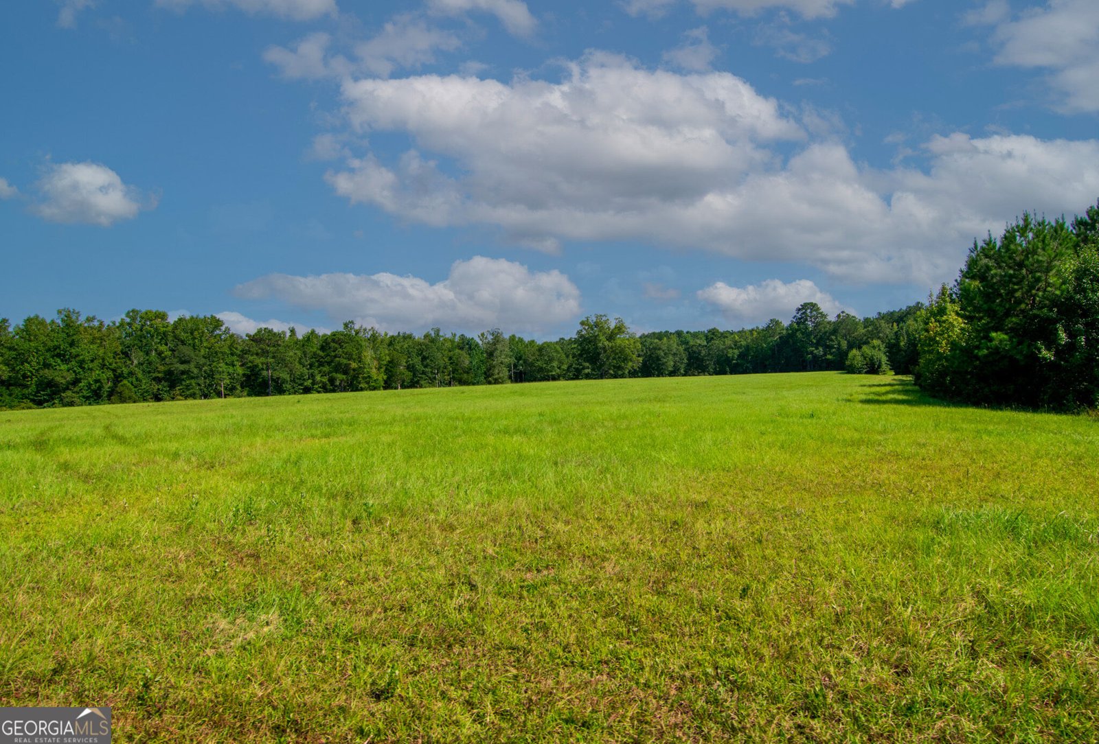 616 Twin Lakes Road Waverly Hall - Photo 38
