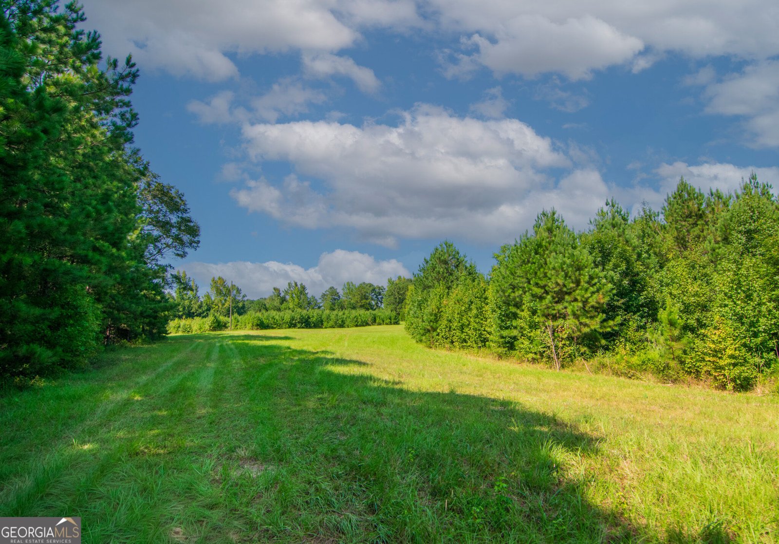 616 Twin Lakes Road Waverly Hall - Photo 39