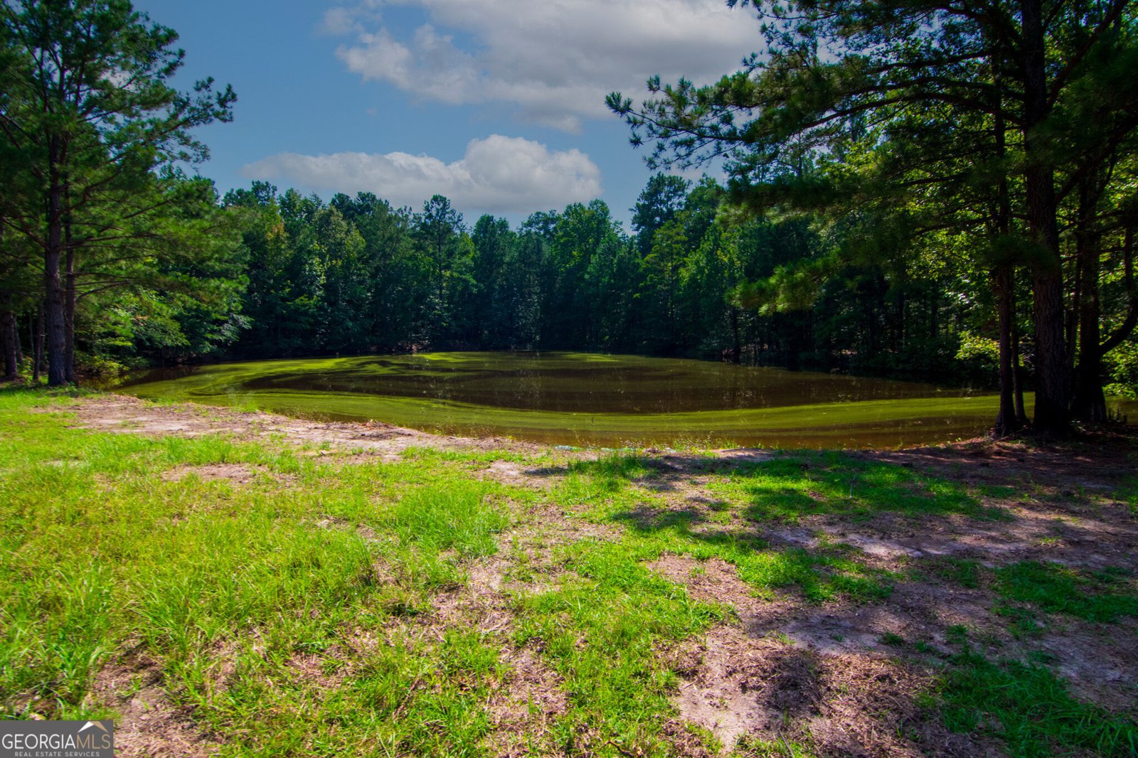 616 Twin Lakes Road Waverly Hall - Photo 40
