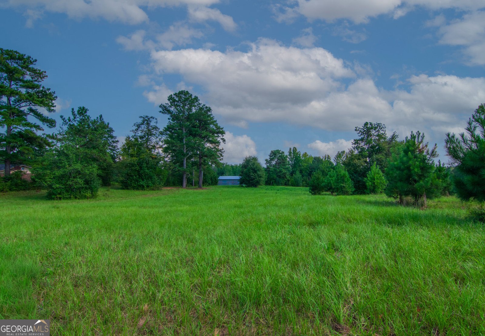 616 Twin Lakes Road Waverly Hall - Photo 44
