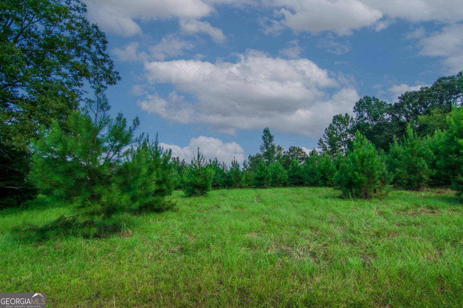 616 Twin Lakes Road Waverly Hall - Photo 45