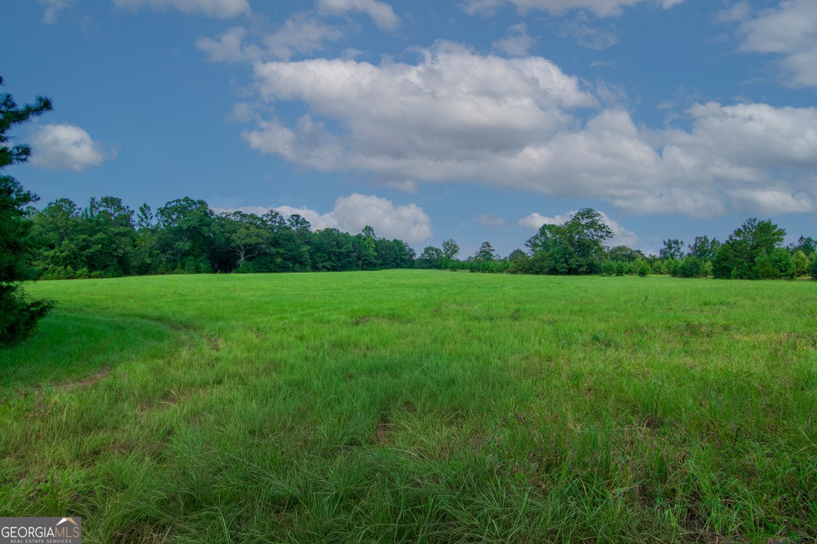 616 Twin Lakes Road Waverly Hall - Photo 46