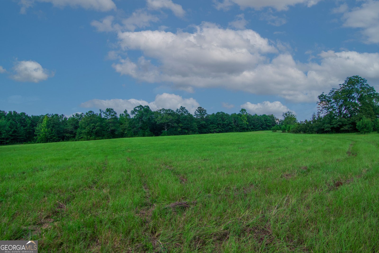 616 Twin Lakes Road Waverly Hall - Photo 53
