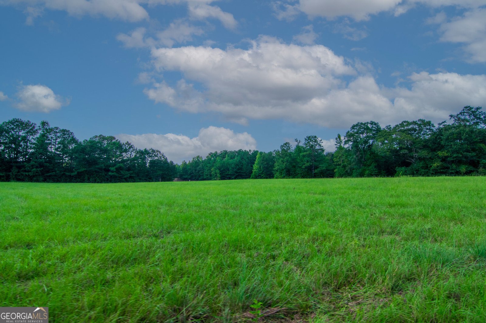 616 Twin Lakes Road Waverly Hall - Photo 54