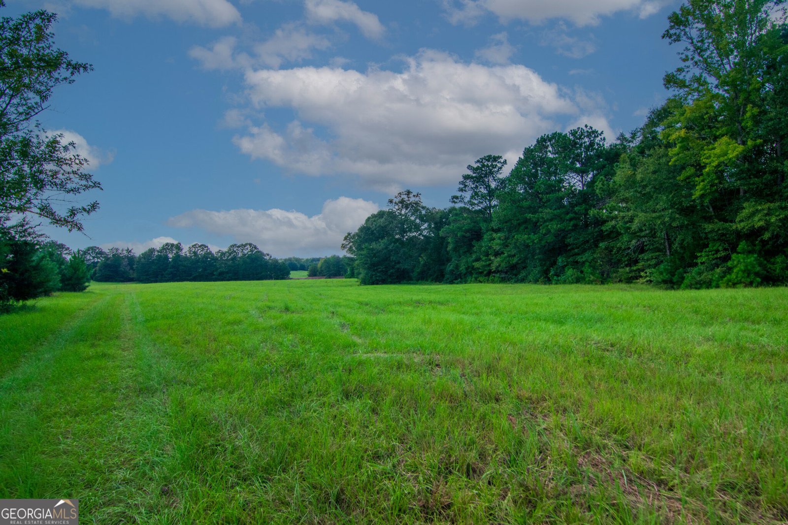 616 Twin Lakes Road Waverly Hall - Photo 55
