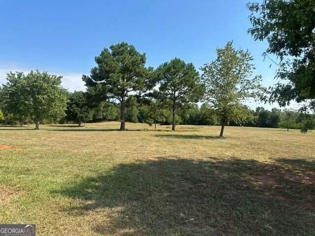 695 Teamon Road Griffin - Photo 12